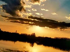 -大兴滨河森林公园