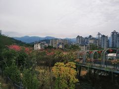 -金鸡山公园
