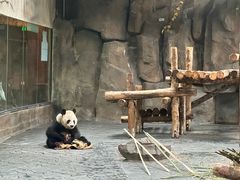 -上海野生动物园
