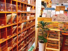 明信片-猫的天空之城概念书店(印象城购物中心店)