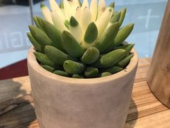 -十二舍·湯物素煮(江泰潤政店)