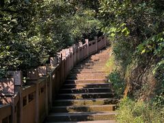 -杭州半山国家森林公园