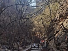 -苍岩山风景名胜区