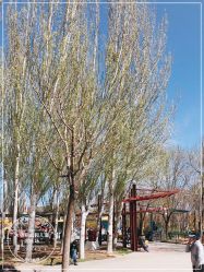 -大望京儿童游乐场