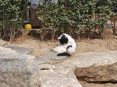 -李叔同故居纪念馆
