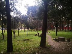 -四川大学(望江校区)
