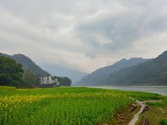 新安江山水画廊-新安江山水画廊风景区