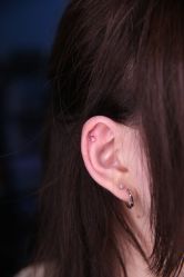 -众刺纹画·纹身·穿孔饰品·海娜定制