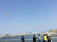 -东港音乐喷泉广场