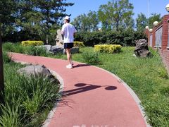 -稻香湖公园