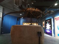 -中华赏石园