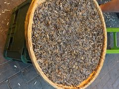 -破瓦寒窑·地摊烤羊排