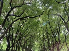 -西郊宾馆·1921餐厅