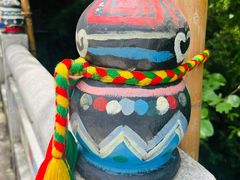 -西双版纳原始森林公园