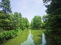 -西溪国家湿地公园