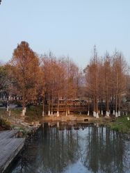 -玄武湖景区-情侣园游乐场