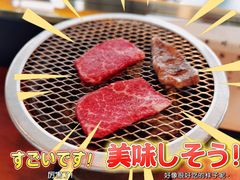 -元熹会席料理