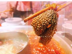 大刀毛肚-大龙燚火锅(南山大道店)
