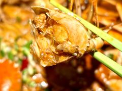 -谢蟹浓·肉蟹煲(新奥店)
