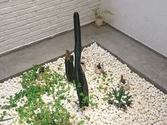 -禾康家蛋糕店