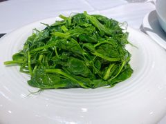 豌豆尖-峨嵋酒家总店(车公庄店)