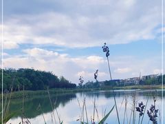 -两河城市森林公园