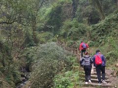 -南山植物园