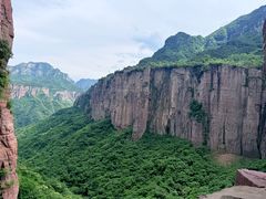 -王莽岭风景区