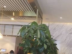 大堂-渔小生蒸汽石锅鱼(印象城店)
