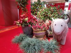 -松雷商业(南岗店)