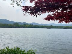 -浙江西子宾馆·瑶园咖啡厅