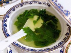 鸡汤老山芹-九十九顶毡房(阜石路店)