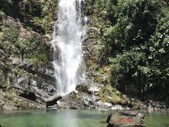 -鼎湖山风景区