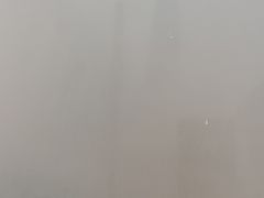 -刘胖子家常菜·蹄花焖藕(中南店)
