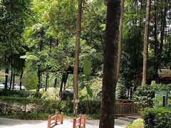 -二荆条·蜀鲜汇城市森林火锅