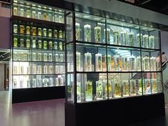 -广东中医药博物馆