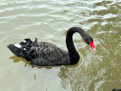 -宁波杭州湾国家湿地公园