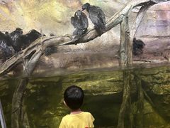 -哈尔滨波塞冬海底世界