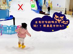 -Mr·Kuma酷么先生雪之乐园
