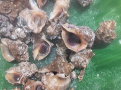 -鼎香缘海鲜自助火锅烤肉(锦辉购物广场店)