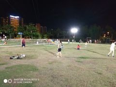 -金鸡岭桥头公园