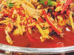 子仔姜小蛙-盐井记·自贡美蛙鲜锅兔(中和店)