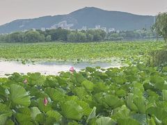 -云龙湖旅游景区