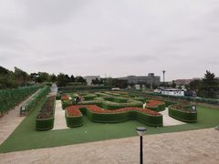-莫子山公园