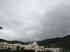 酒店-三亚亚龙湾凯莱仙人掌度假酒店