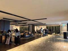 -新加坡乌节希尔顿酒店 (SG Clean)