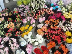 -三圣花乡旅游区