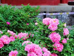 -大钟寺古钟博物馆