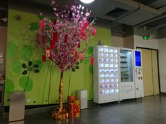 -栖游青年旅舍(华强北地铁站店)