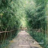 杭州新荣记#西溪湿地#